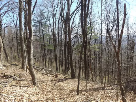 tbd Mountaineer Way, Fancy Gap, VA 24328