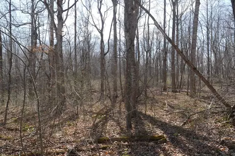 tbd Chestnut Tower Ln, Max Meadows, VA 24360 photo 14