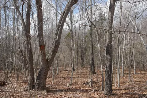 tbd Chestnut Tower Ln, Max Meadows, VA 24360 photo 5