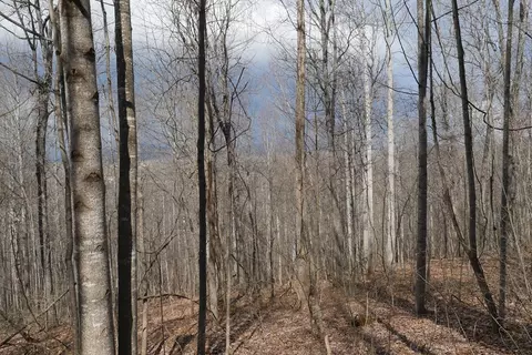 tbd Chestnut Tower Ln, Max Meadows, VA 24360 photo 36