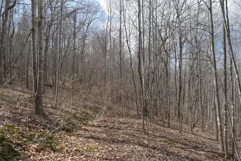 tbd Chestnut Tower Ln, Max Meadows, VA 24360 photo 34