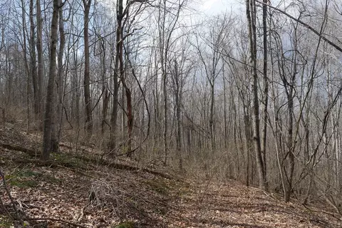 tbd Chestnut Tower Ln, Max Meadows, VA 24360 photo 38