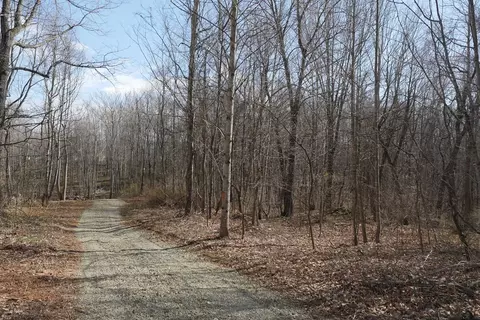 tbd Chestnut Tower Ln, Max Meadows, VA 24360 photo 10