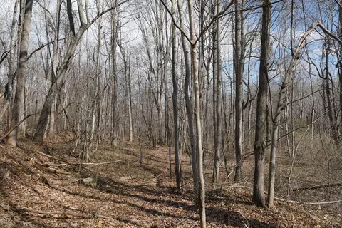 tbd Chestnut Tower Ln, Max Meadows, VA 24360 photo 21