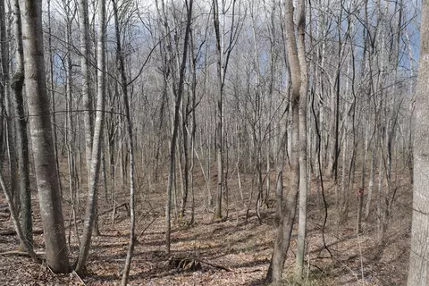 tbd Chestnut Tower Ln, Max Meadows, VA 24360 photo 30