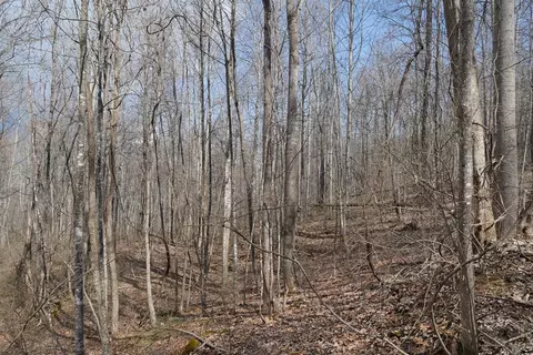tbd Chestnut Tower Ln, Max Meadows, VA 24360 photo 29