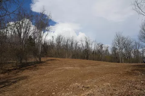 tbd Chestnut Tower Ln, Max Meadows, VA 24360