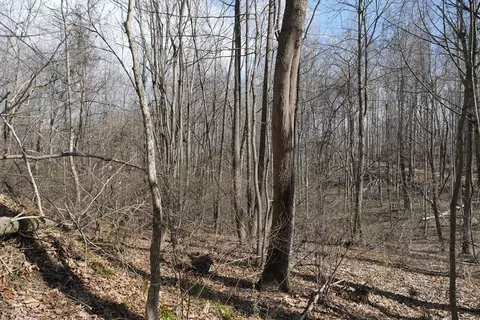 tbd Chestnut Tower Ln, Max Meadows, VA 24360 photo 25