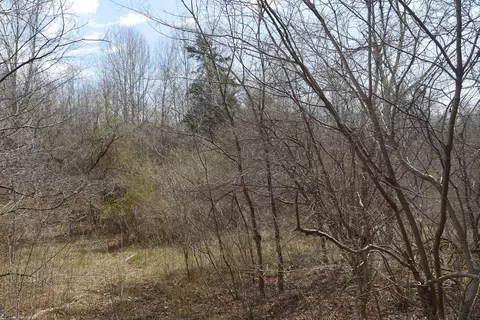 tbd Chestnut Tower Ln, Max Meadows, VA 24360 photo 52