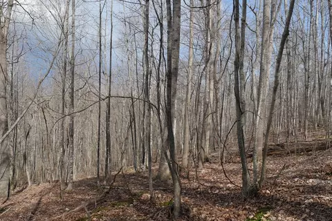 tbd Chestnut Tower Ln, Max Meadows, VA 24360 photo 35