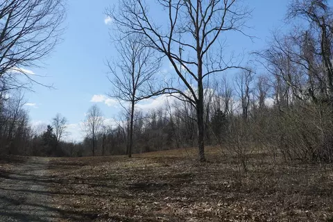 tbd Chestnut Tower Ln, Max Meadows, VA 24360 photo 2