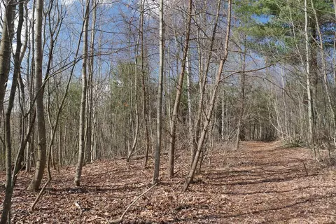 tbd Rush Creek Rd, Glade Spring, VA 24340 photo 26