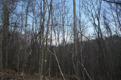 tbd Rush Creek Rd, Glade Spring, VA 24340 photo 38