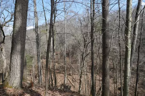 tbd Rush Creek Rd, Glade Spring, VA 24340 photo 46