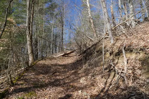 tbd Rush Creek Rd, Glade Spring, VA 24340 photo 36