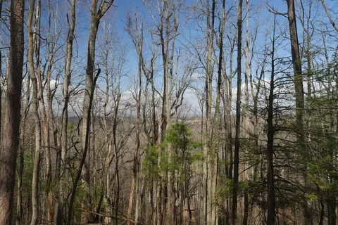 tbd Rush Creek Rd, Glade Spring, VA 24340 photo 42