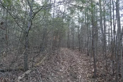 tbd Rush Creek Rd, Glade Spring, VA 24340 photo 25