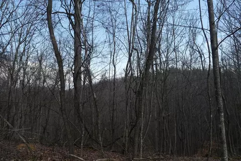 tbd Rush Creek Rd, Glade Spring, VA 24340 photo 54