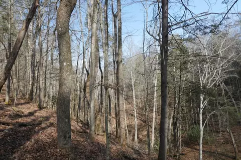 tbd Rush Creek Rd, Glade Spring, VA 24340 photo 21