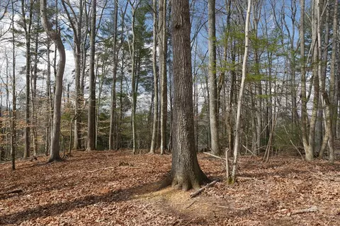 tbd Rush Creek Rd, Glade Spring, VA 24340 photo 17