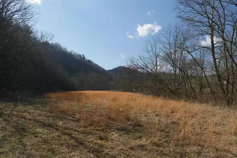 tbd Rush Creek Rd, Glade Spring, VA 24340 photo 5
