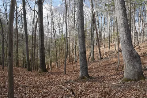 tbd Rush Creek Rd, Glade Spring, VA 24340 photo 16