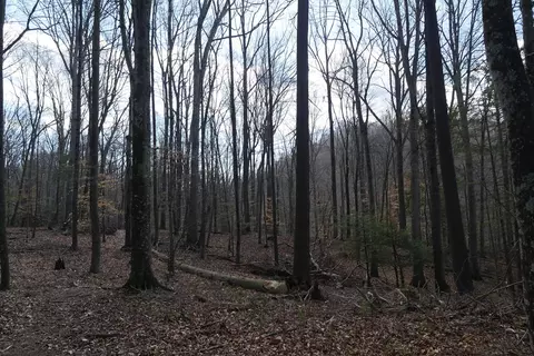 tbd Rush Creek Rd, Glade Spring, VA 24340 photo 67