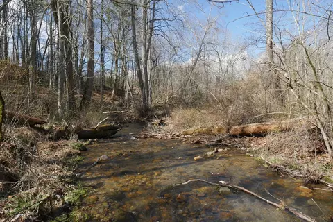 tbd Rush Creek Rd, Glade Spring, VA 24340 photo 63