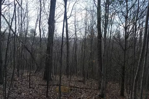 tbd Rush Creek Rd, Glade Spring, VA 24340 photo 53