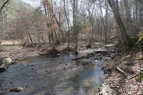 tbd Rush Creek Rd, Glade Spring, VA 24340 photo 10