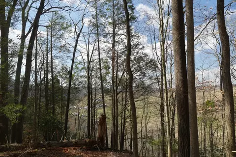 tbd Rush Creek Rd, Glade Spring, VA 24340 photo 57