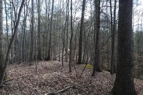 tbd Rush Creek Rd, Glade Spring, VA 24340 photo 45