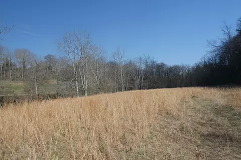 tbd Rush Creek Rd, Glade Spring, VA 24340 photo 6