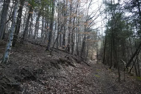tbd Rush Creek Rd, Glade Spring, VA 24340 photo 23