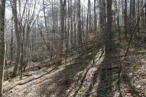 tbd Rush Creek Rd, Glade Spring, VA 24340 photo 62