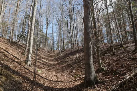 tbd Rush Creek Rd, Glade Spring, VA 24340 photo 37