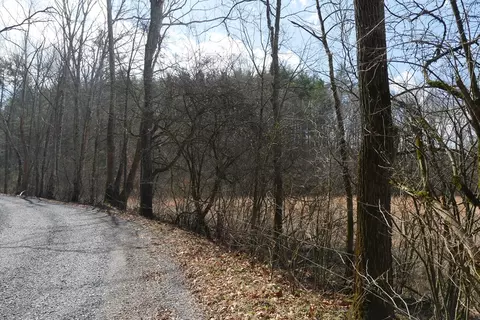 tbd Rush Creek Rd, Glade Spring, VA 24340 photo 68