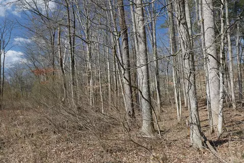 tbd Rush Creek Rd, Glade Spring, VA 24340 photo 29