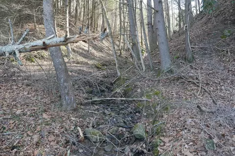 tbd Rush Creek Rd, Glade Spring, VA 24340 photo 33
