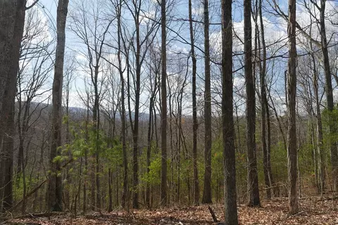 tbd Rush Creek Rd, Glade Spring, VA 24340 photo 27