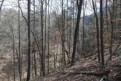 tbd Rush Creek Rd, Glade Spring, VA 24340 photo 47