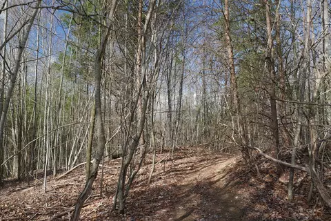 tbd Rush Creek Rd, Glade Spring, VA 24340 photo 51