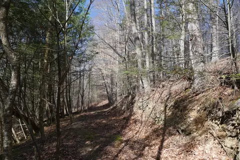 tbd Rush Creek Rd, Glade Spring, VA 24340 photo 49