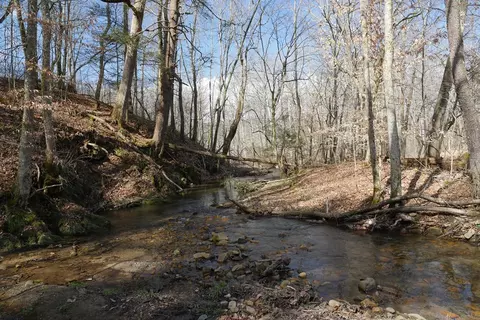 tbd Rush Creek Rd, Glade Spring, VA 24340 photo 18
