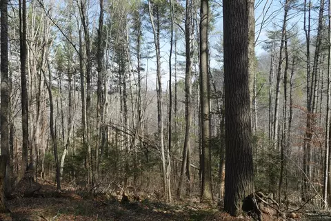 tbd Rush Creek Rd, Glade Spring, VA 24340 photo 60