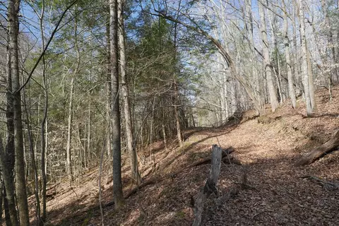 tbd Rush Creek Rd, Glade Spring, VA 24340 photo 24