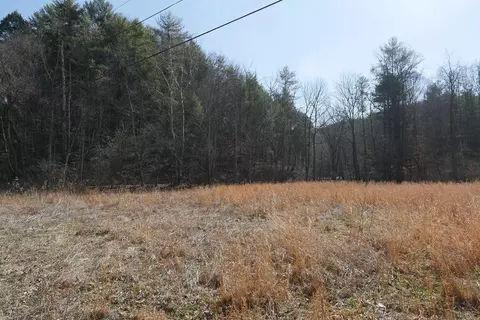 tbd Rush Creek Rd, Glade Spring, VA 24340 photo 4