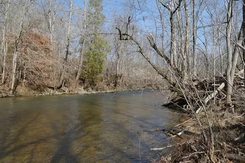 tbd Rush Creek Rd, Glade Spring, VA 24340 photo 14