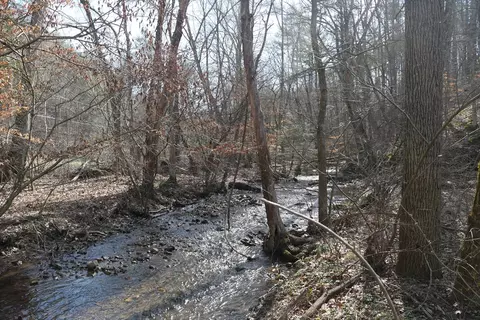 tbd Rush Creek Rd, Glade Spring, VA 24340 photo 9