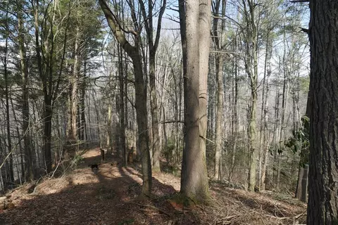 tbd Rush Creek Rd, Glade Spring, VA 24340 photo 59